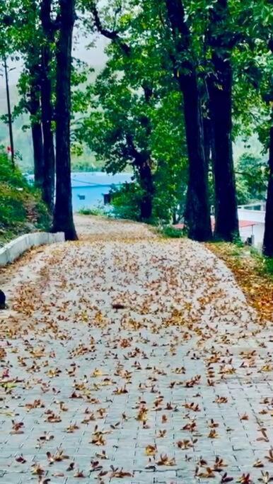 Cosmic Homes #River#Forest Dehradun Exterior foto
